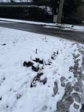 Open311 file from 2026-01-05 10:02:29