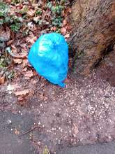 Open311 file from 2026-02-19 14:59:17