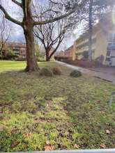 Open311 file from 2026-02-17 20:17:35