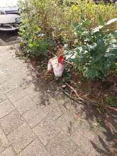 Open311 file from 2026-03-10 12:00:21