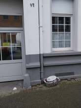 Open311 file from 2026-03-11 08:52:52