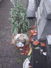 Open311 file from 2026-03-30 08:52:55