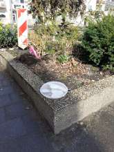 Open311 file from 2026-03-16 12:34:00