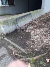 Open311 file from 2026-03-17 11:40:13