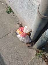 Open311 file from 2026-03-20 09:53:48