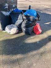 Open311 file from 2026-03-02 13:12:19