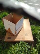 Open311 file from 2026-03-19 10:05:45