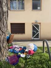 Open311 file from 2026-03-09 12:11:10