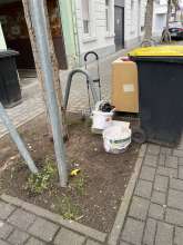 Open311 file from 2026-03-17 12:01:51