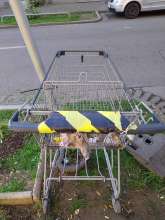 Open311 file from 2026-04-01 09:13:36