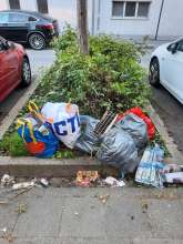 Erneute Müllansammlung vor Hausnr. 15 im Rosenbusch 
