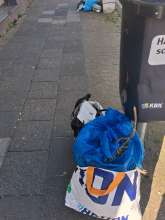 Open311 file from 2026-04-22 09:33:40