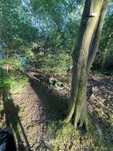 Open311 file from 2026-04-26 20:43:34