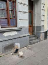 Open311 file from 2026-05-19 11:00:46