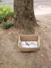 Open311 file from 2026-06-10 13:10:54