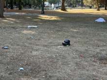 Open311 file from 2026-08-10 08:46:21