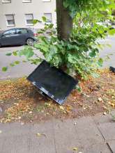 Open311 file from 2026-09-08 12:28:48