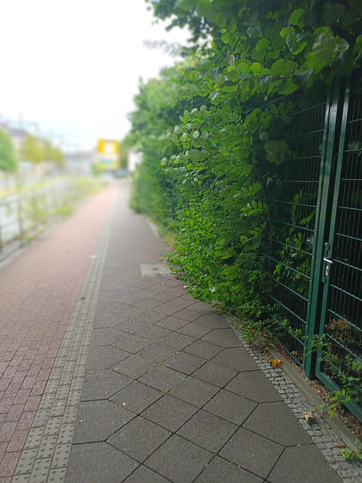 Open311 file from 2022-07-27 16:48:40