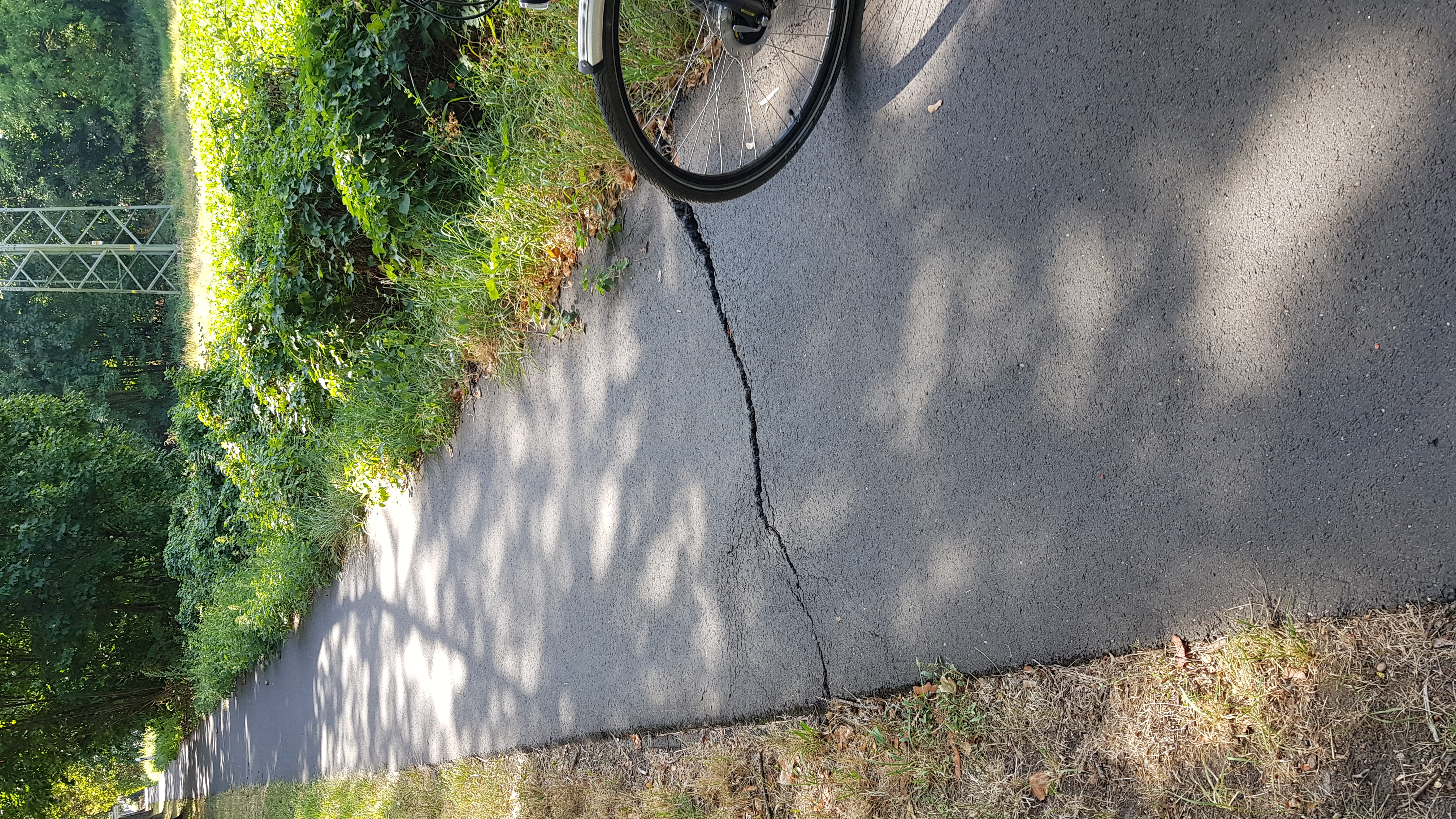 Open311 file from 2022-08-24 11:43:45