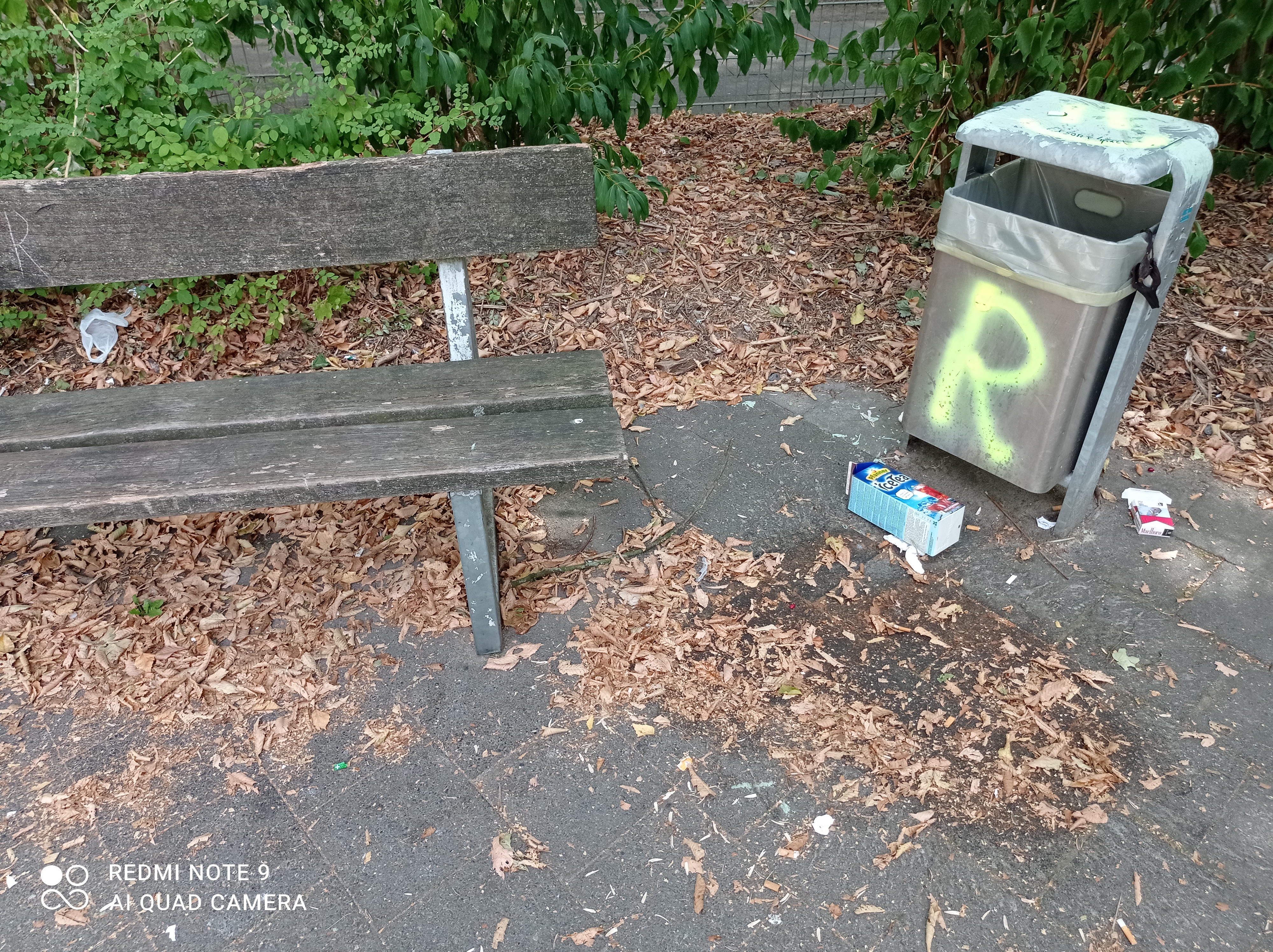 Open311 file from 2022-08-29 13:27:36