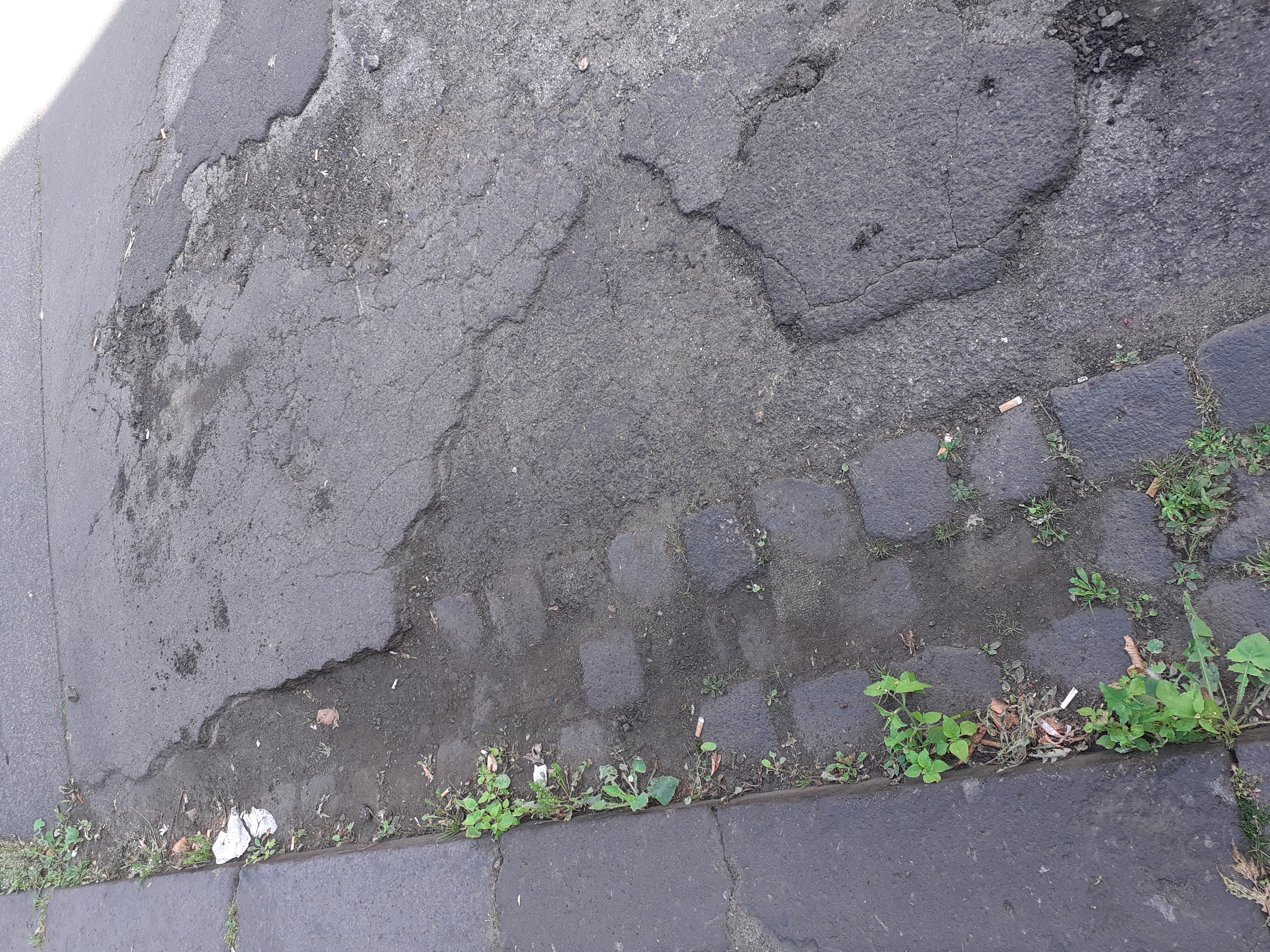 Open311 file from 2022-08-24 11:24:40