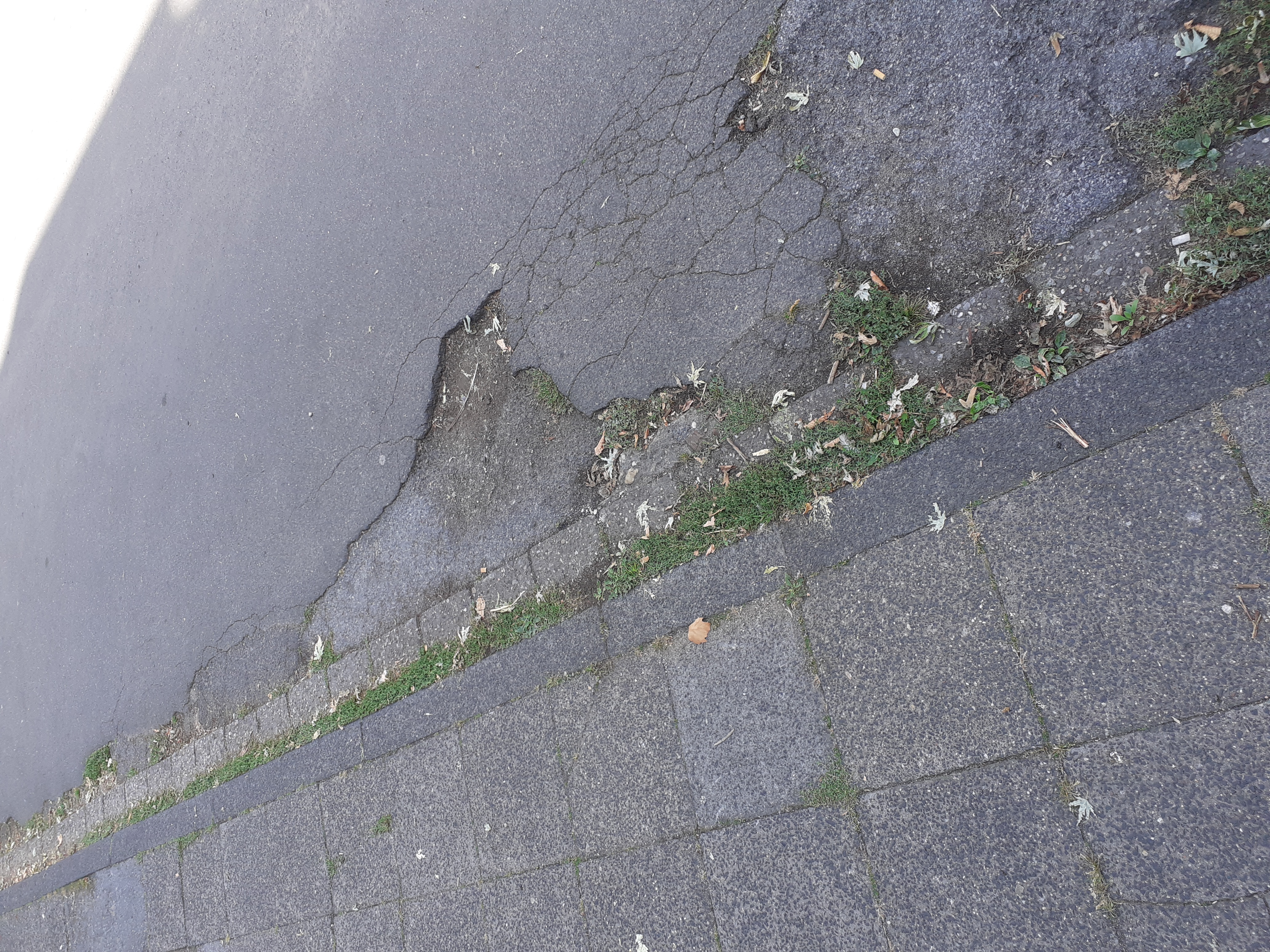 Open311 file from 2022-08-24 11:24:42