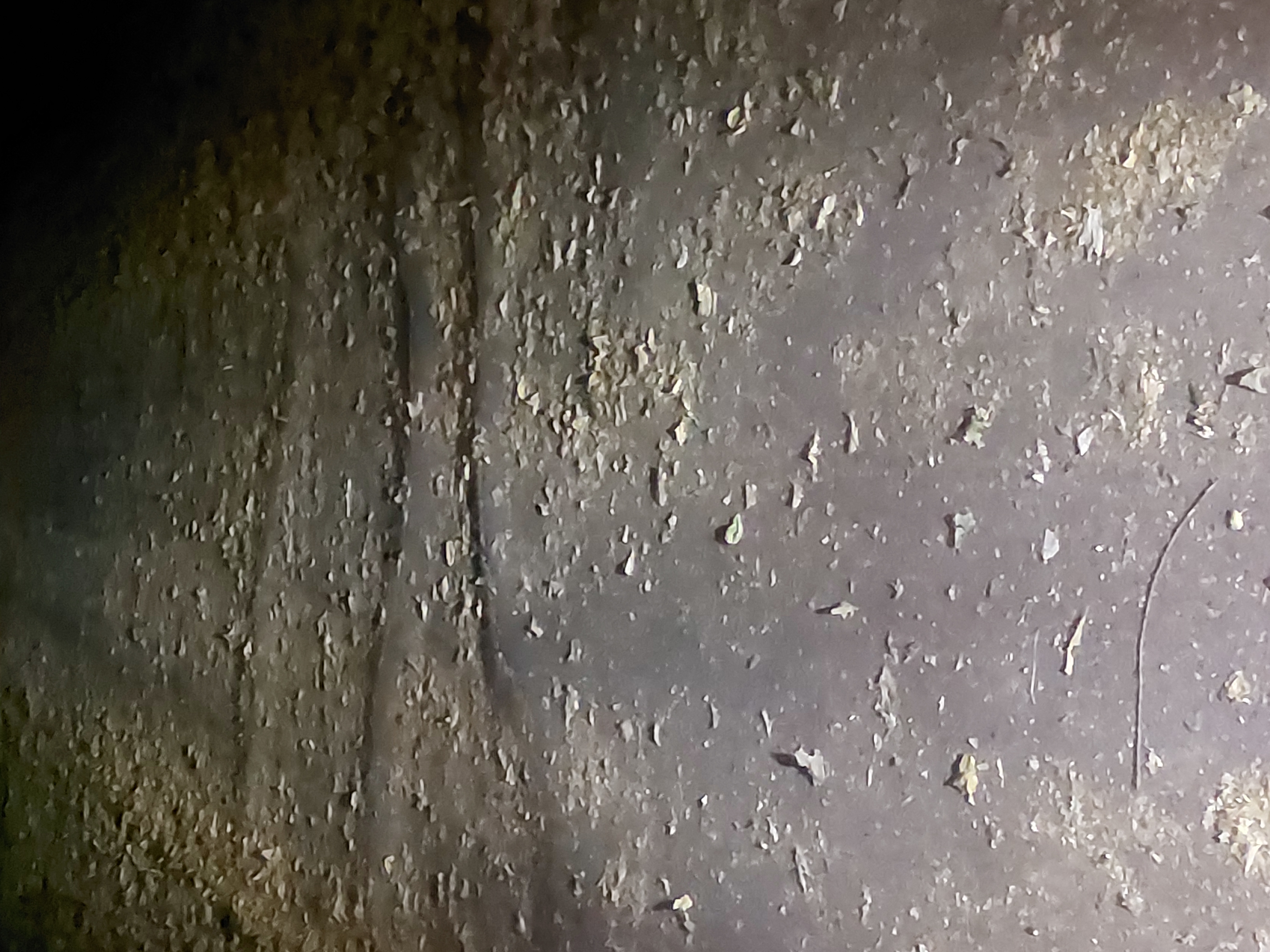 Open311 file from 2022-08-29 18:07:38