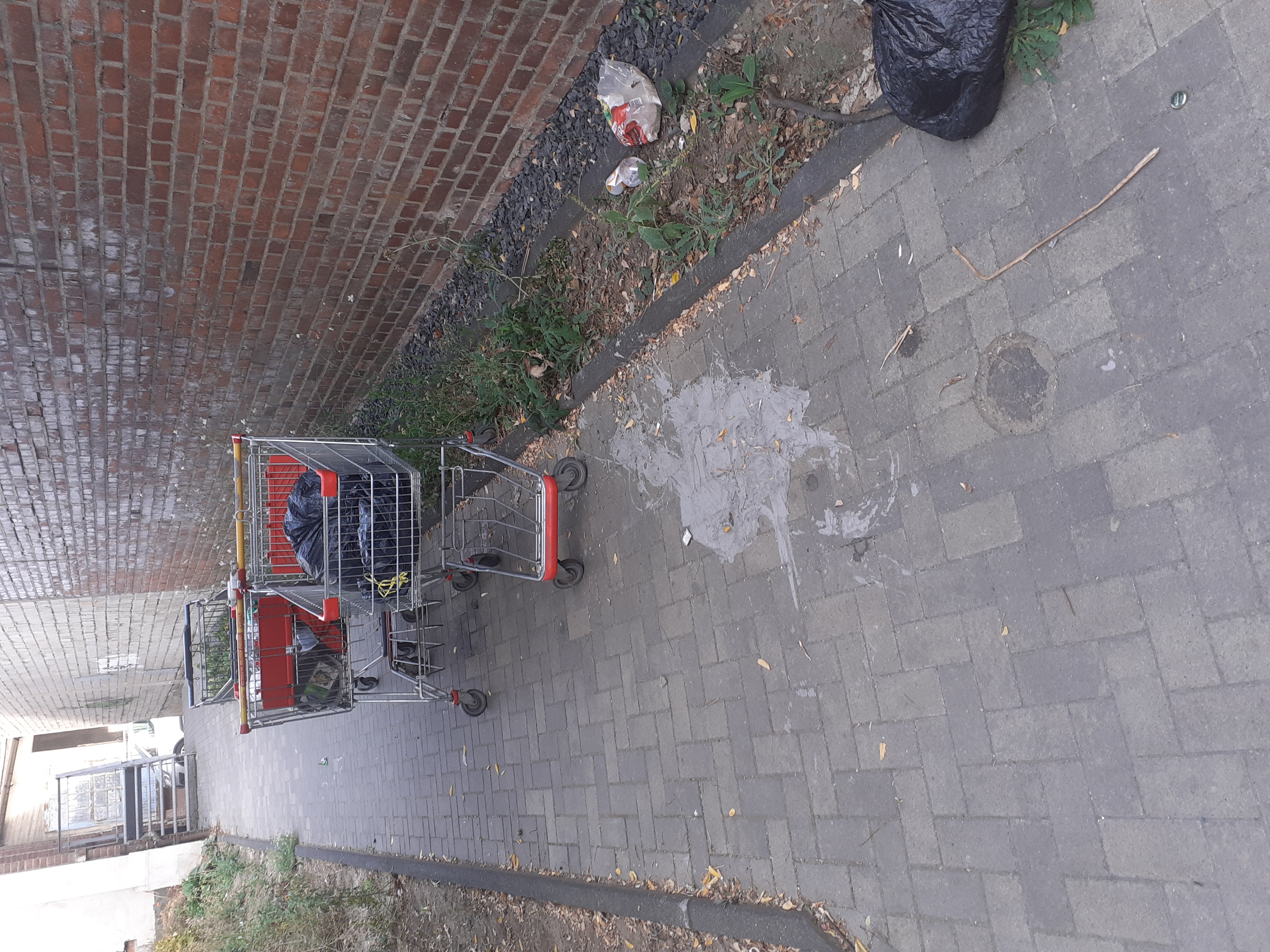 Open311 file from 2022-08-29 09:11:34