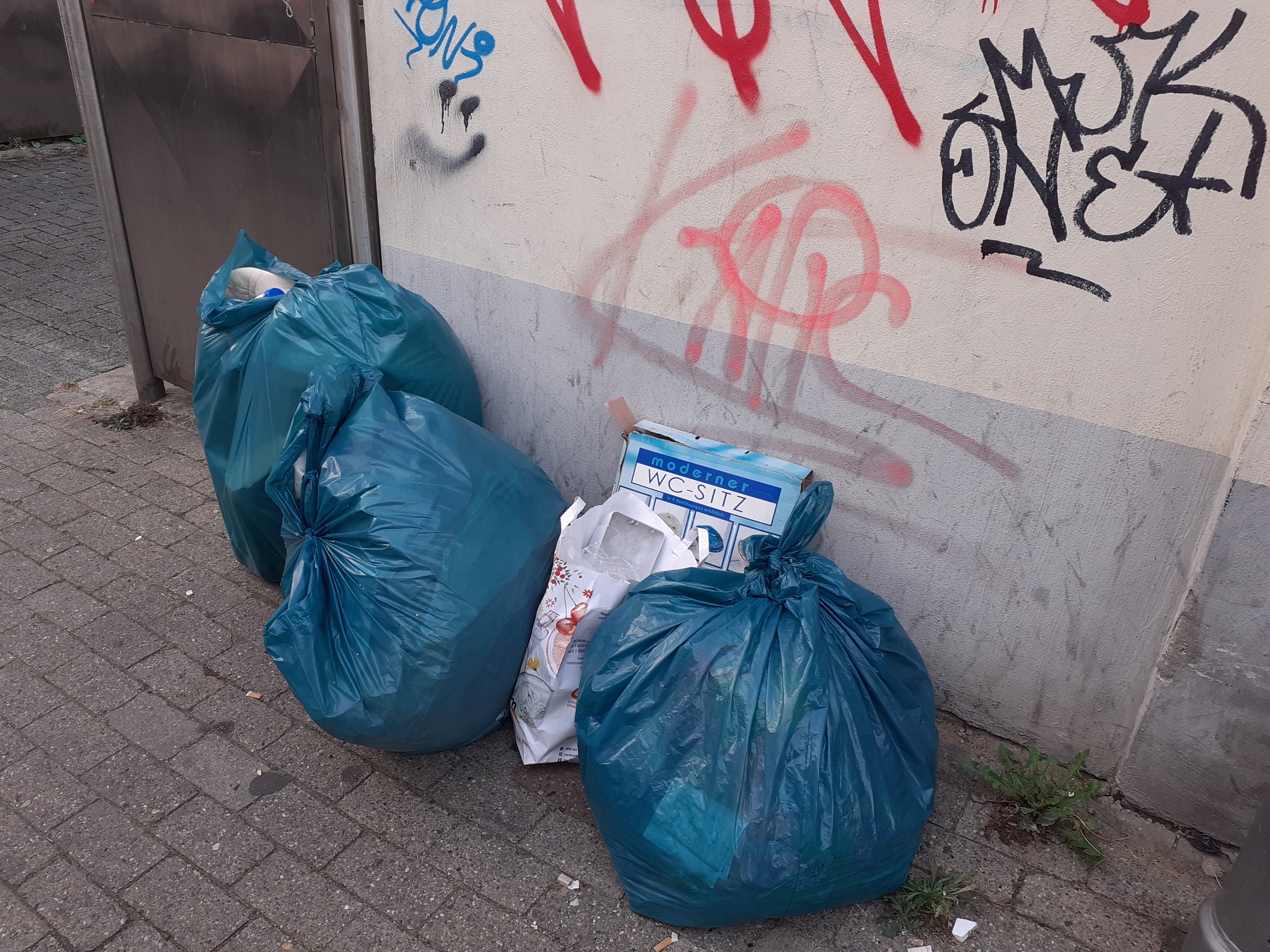 Open311 file from 2022-08-30 11:27:31