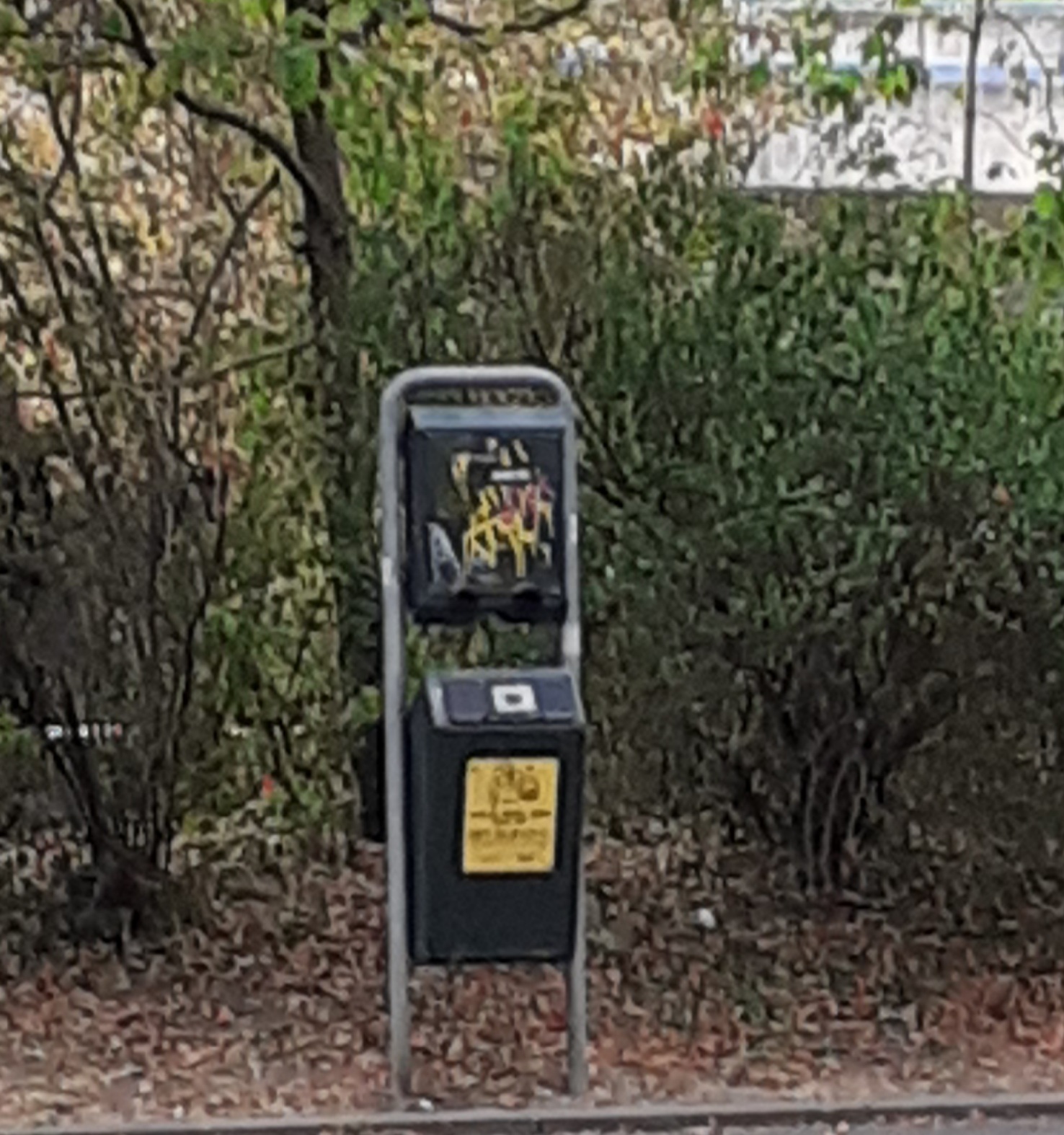 Open311 file from 2022-08-30 10:47:17