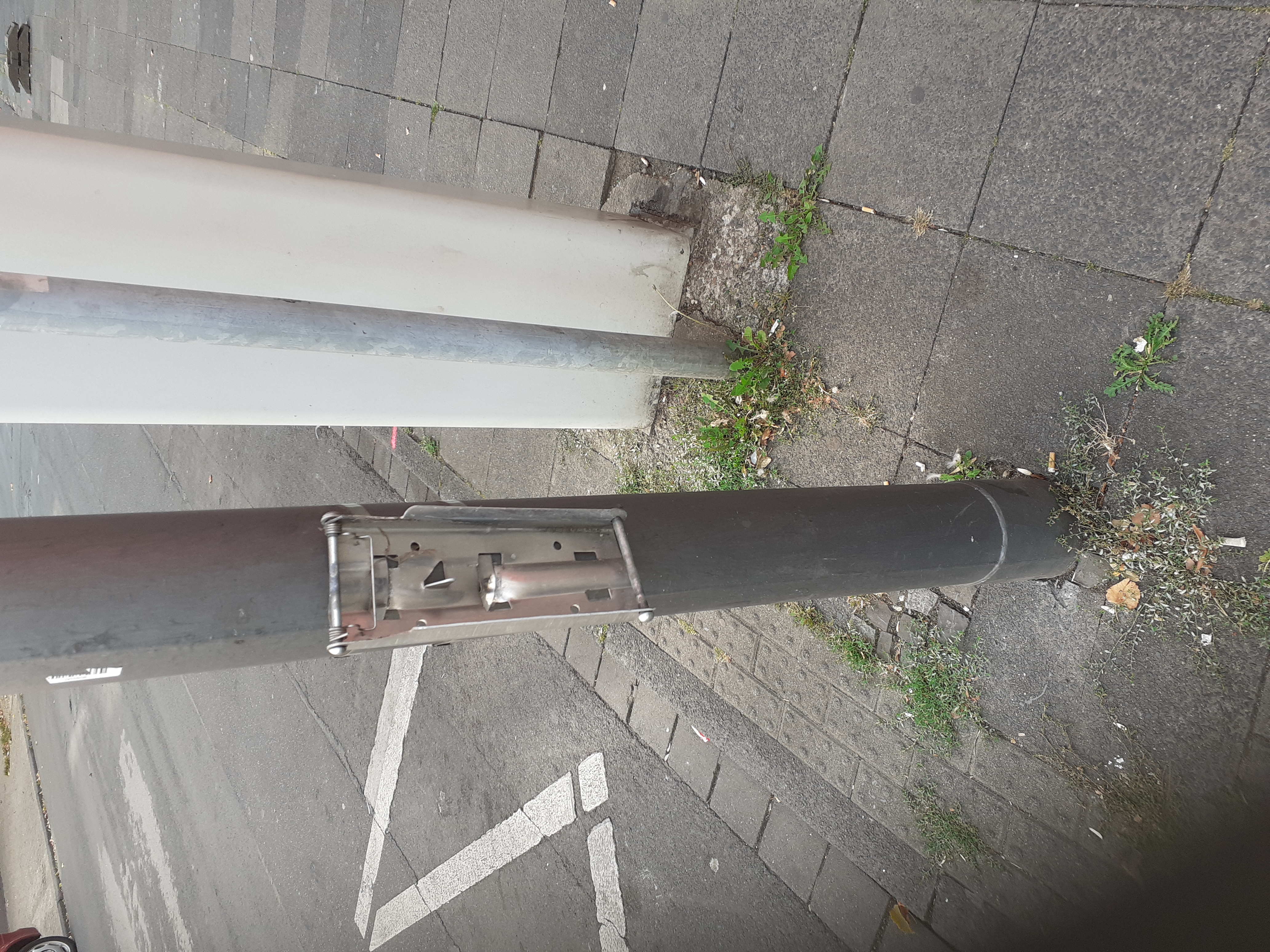 Open311 file from 2022-08-30 12:24:57