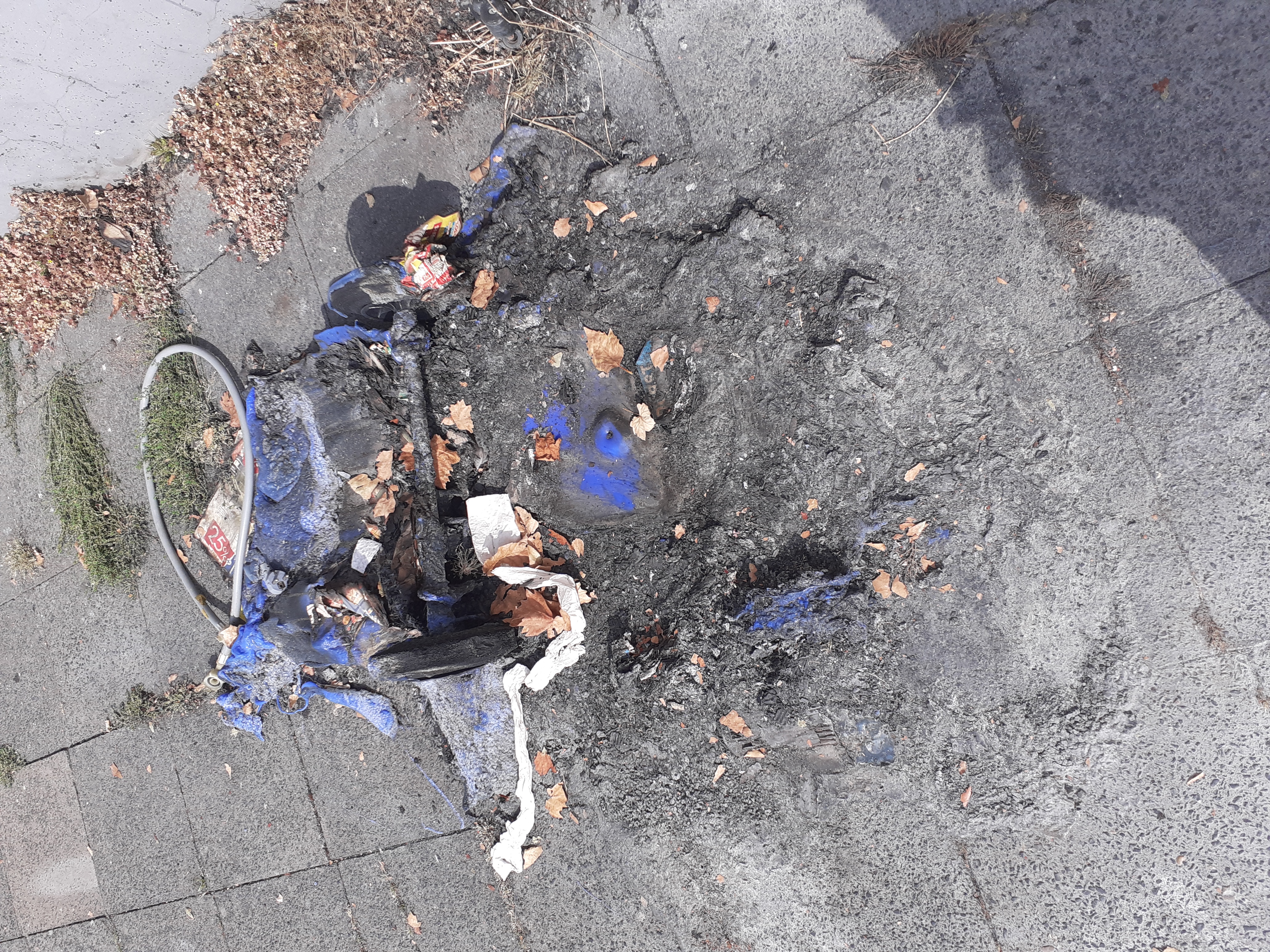 Open311 file from 2022-08-30 12:25:56