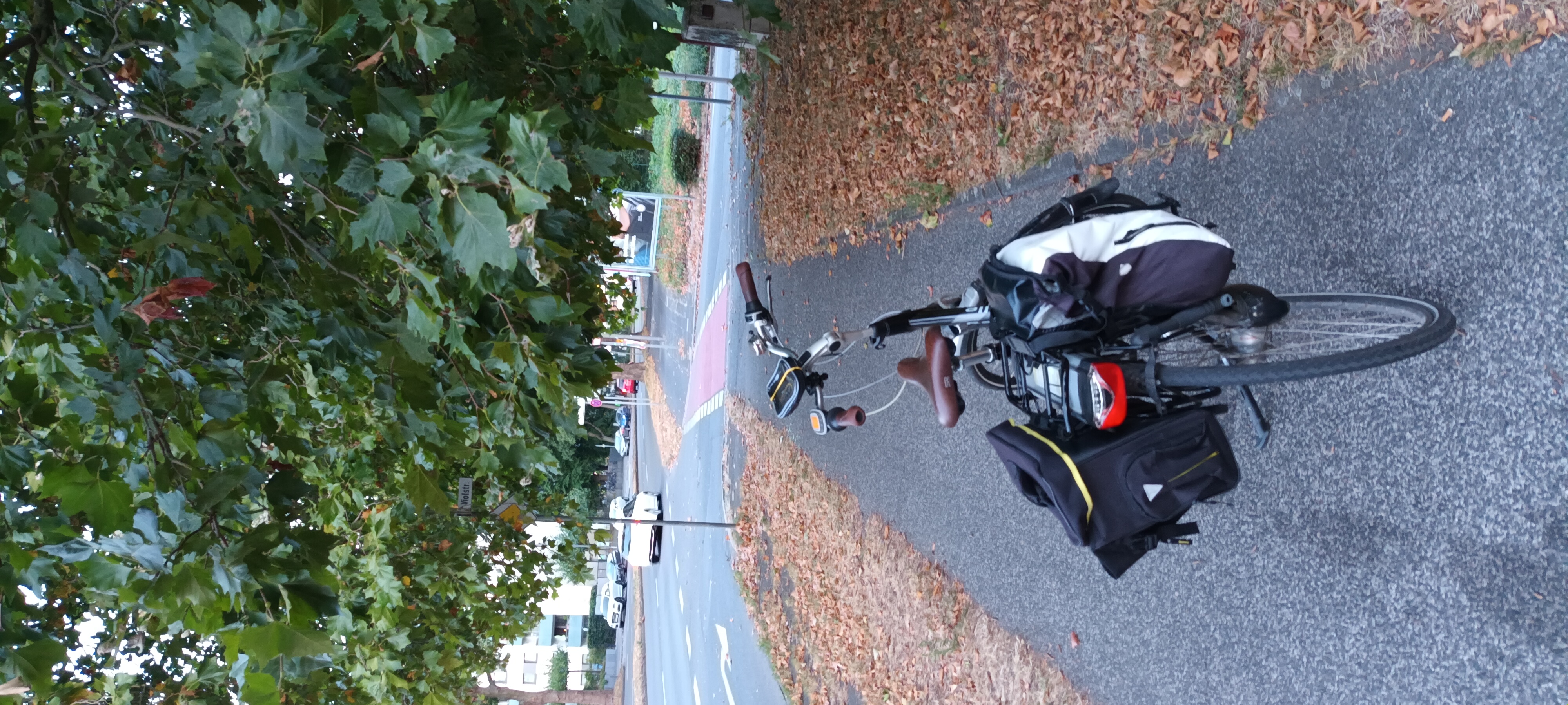 Open311 file from 2022-09-01 09:18:21