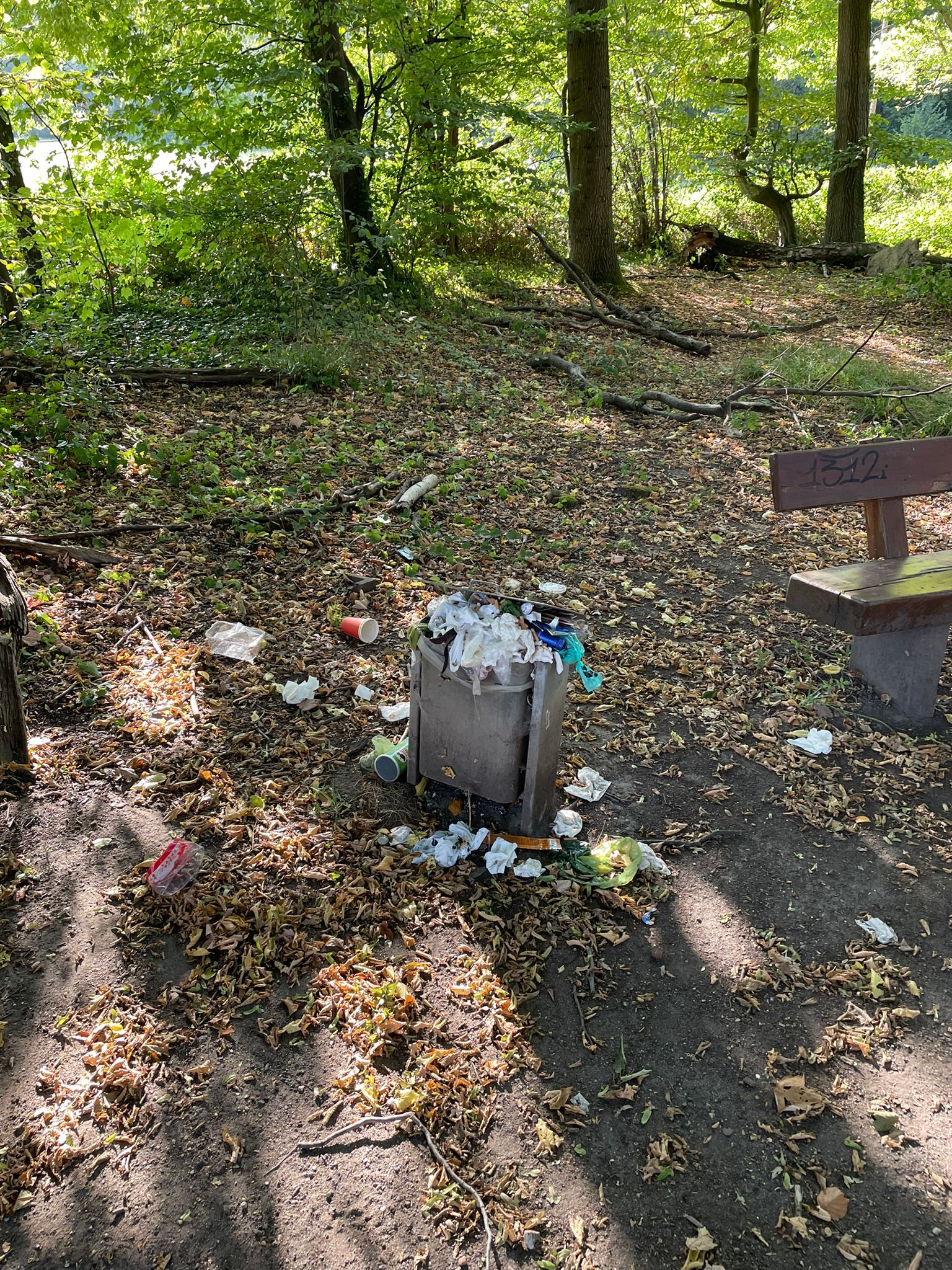 Open311 file from 2022-08-30 19:07:03