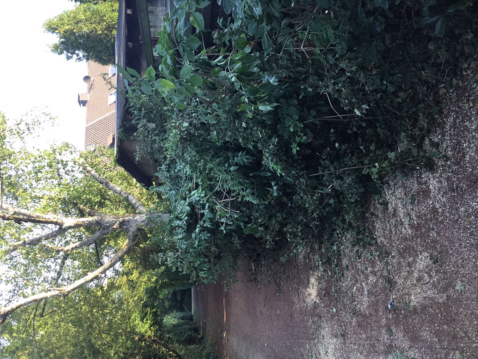 Open311 file from 2022-08-24 06:40:05