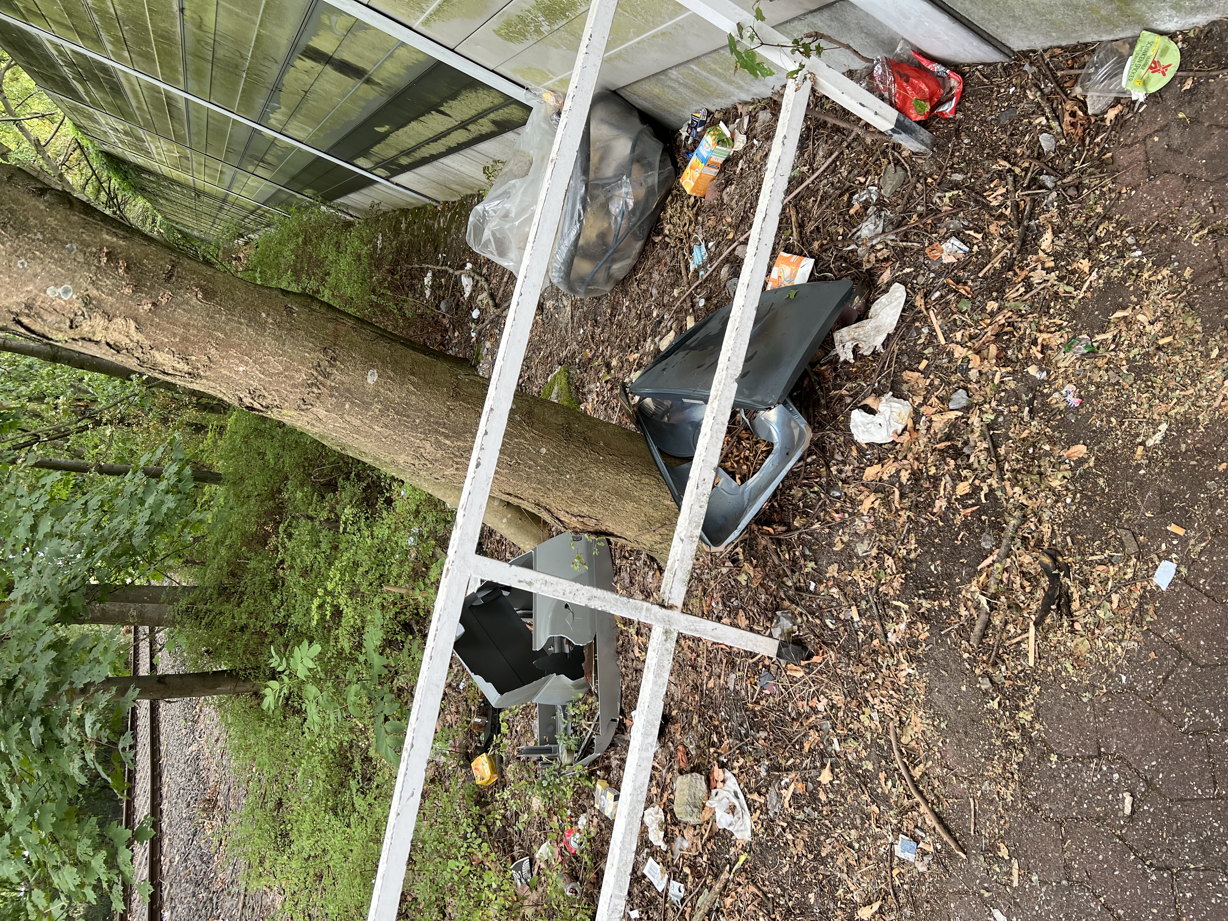 Open311 file from 2022-08-29 07:04:56