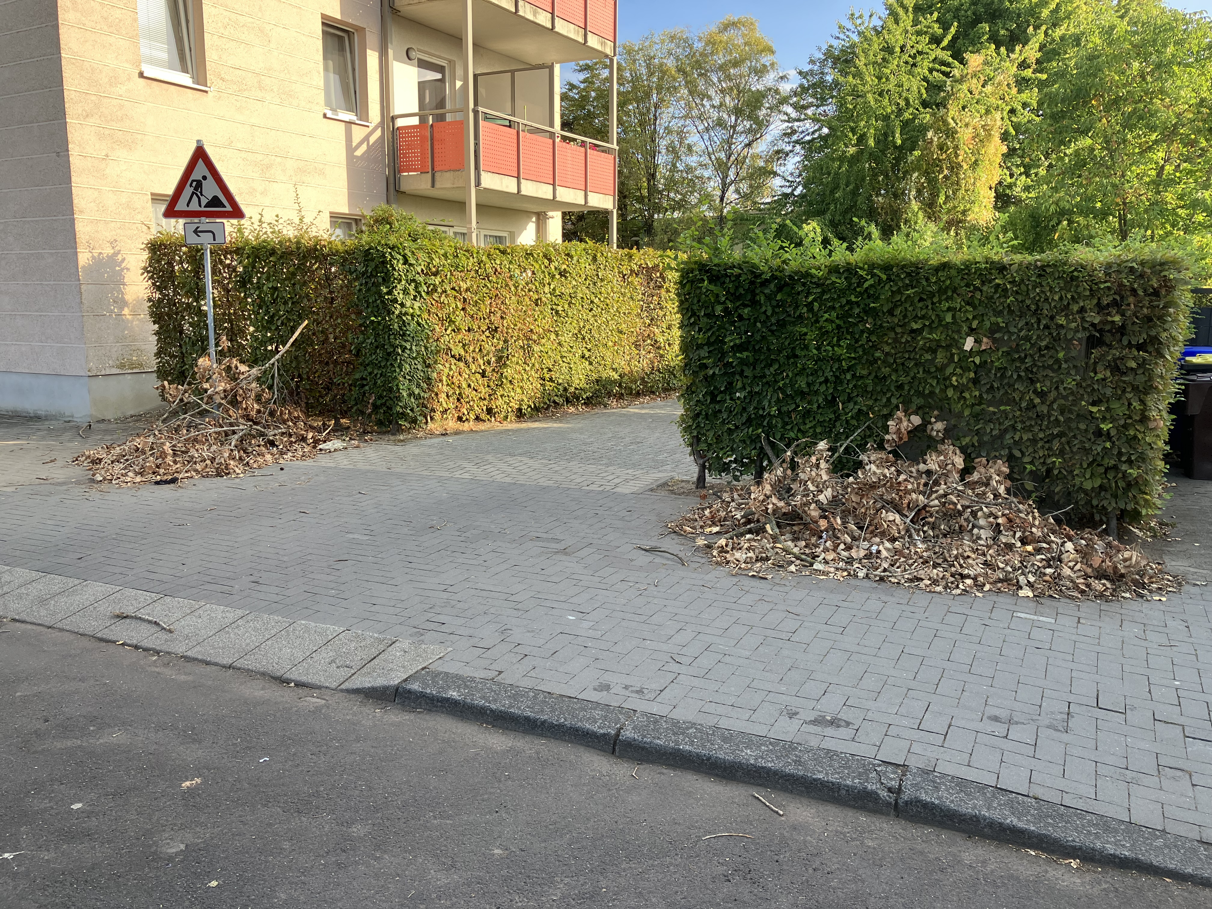 Open311 file from 2022-08-30 14:11:32