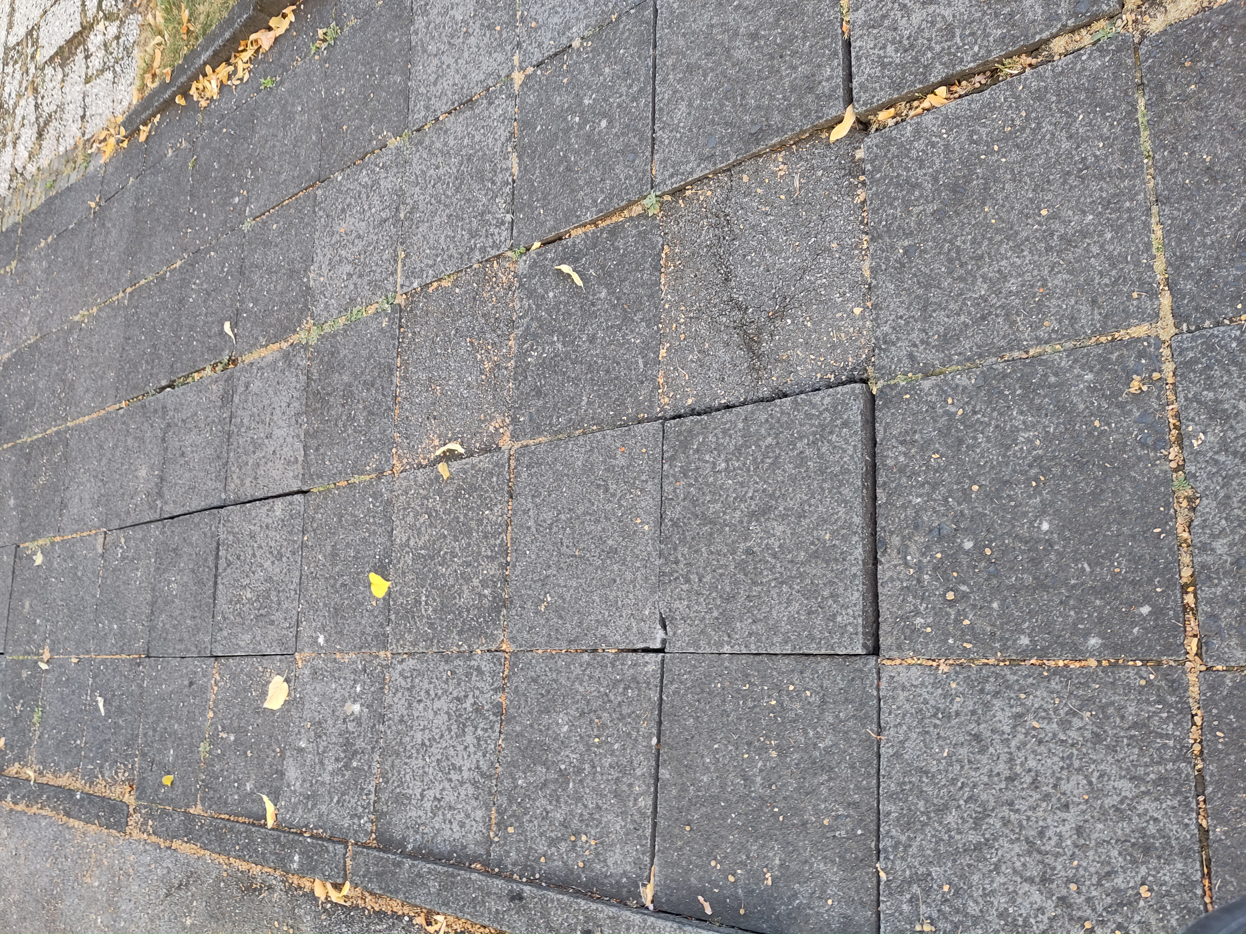 Open311 file from 2022-08-30 07:43:47