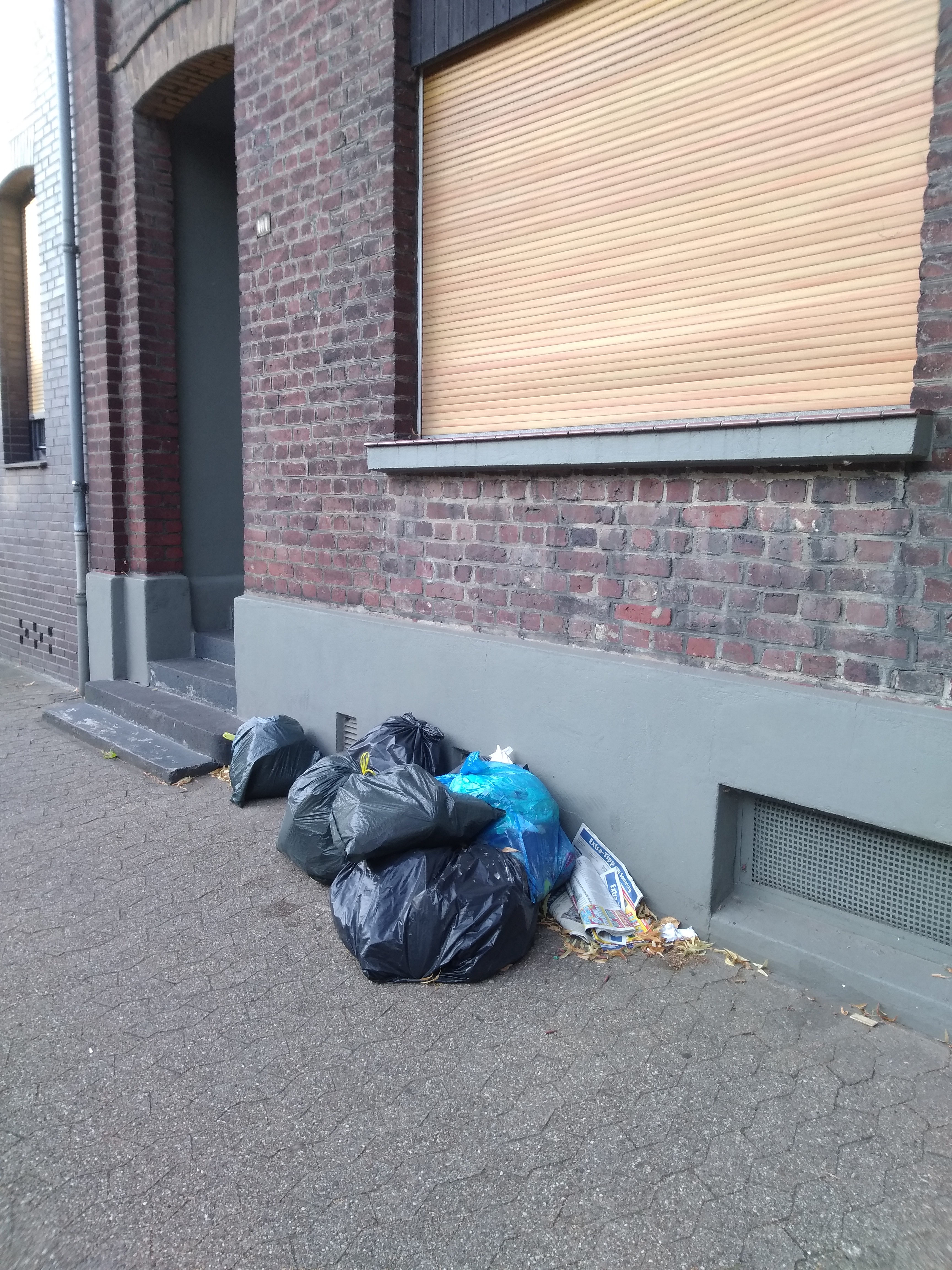 Open311 file from 2022-08-31 09:07:27