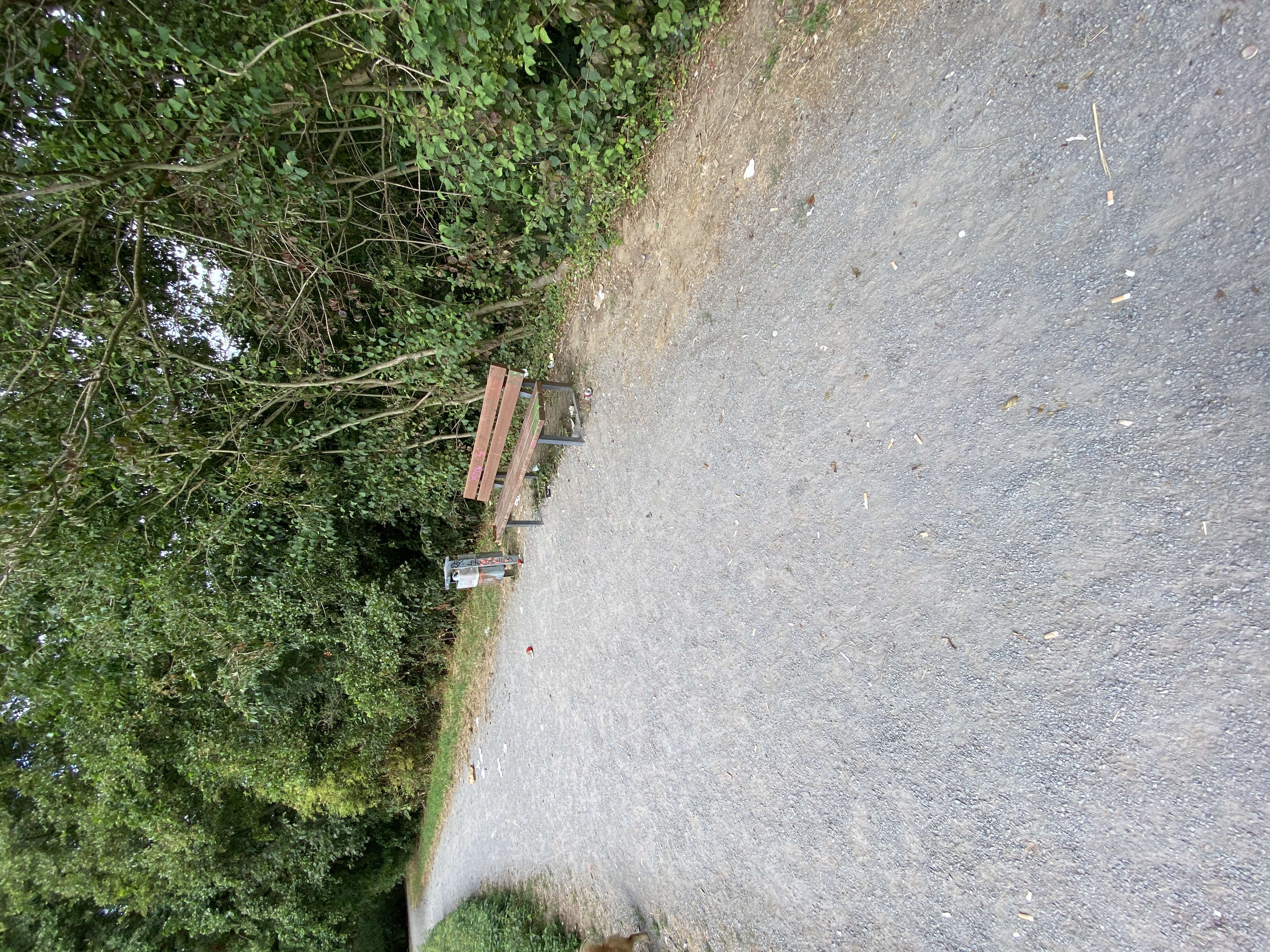 Open311 file from 2022-08-30 14:05:54