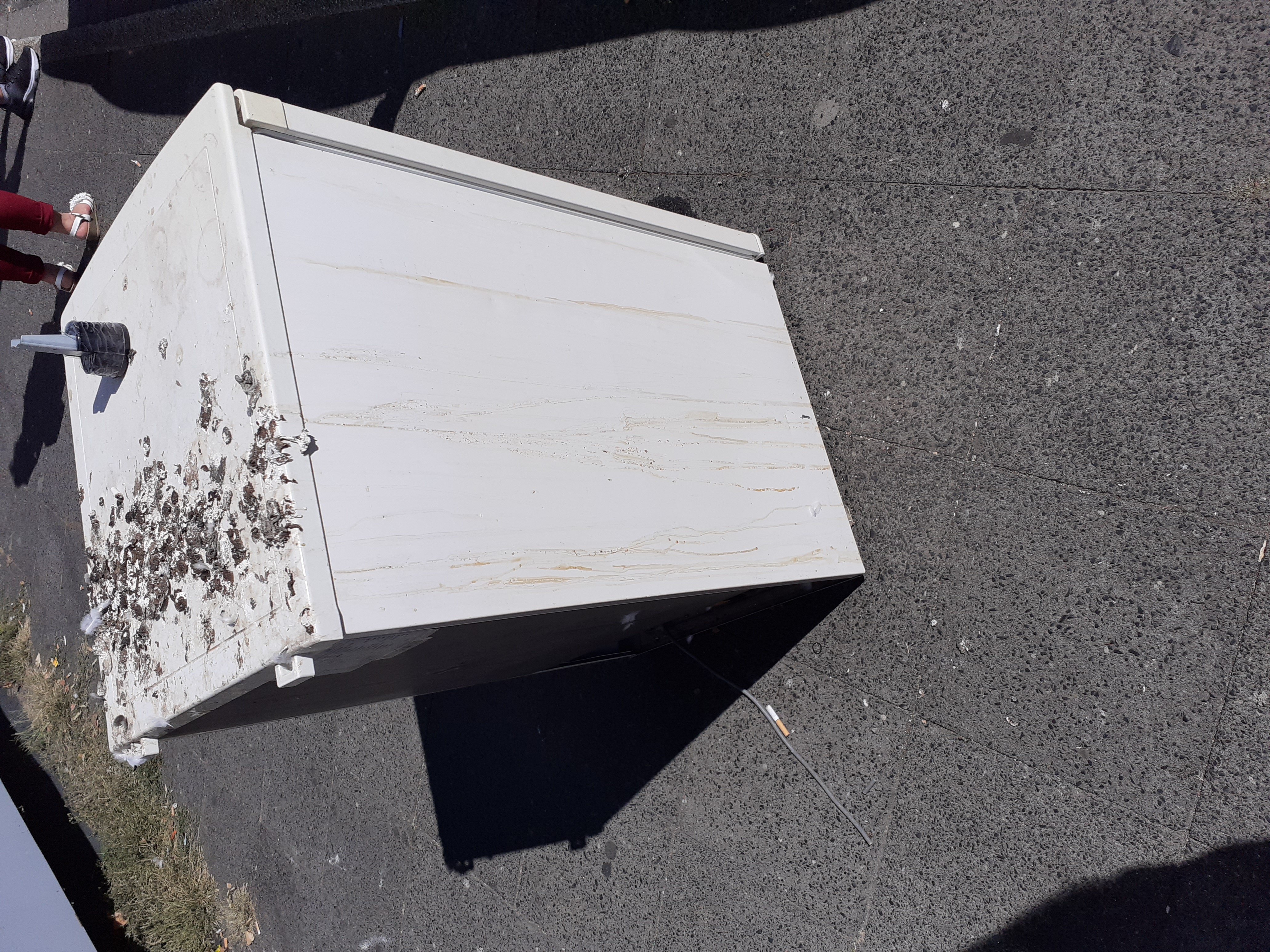 Open311 file from 2022-09-01 13:11:55