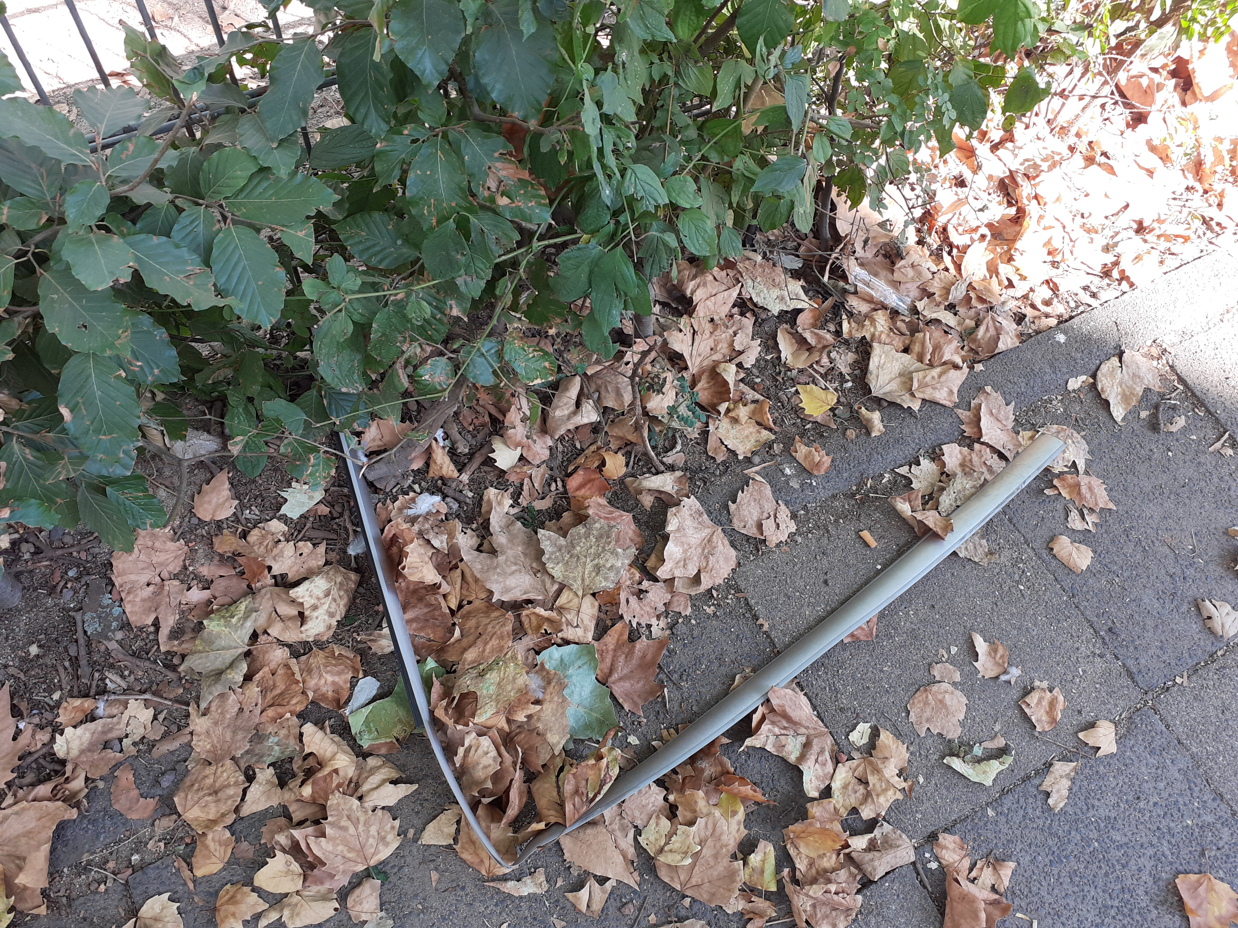 Open311 file from 2022-09-01 15:49:27