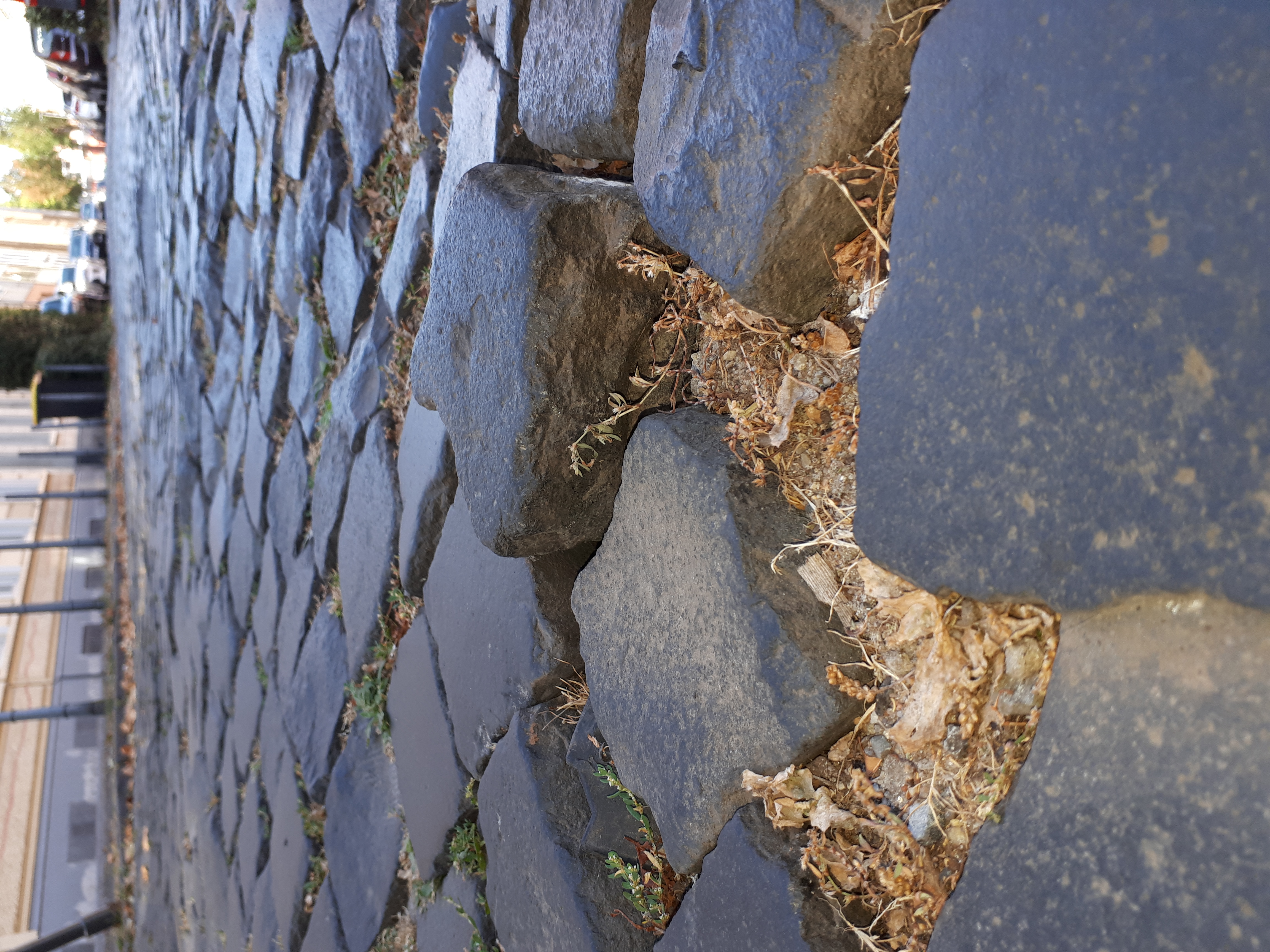 Open311 file from 2022-09-05 12:34:24