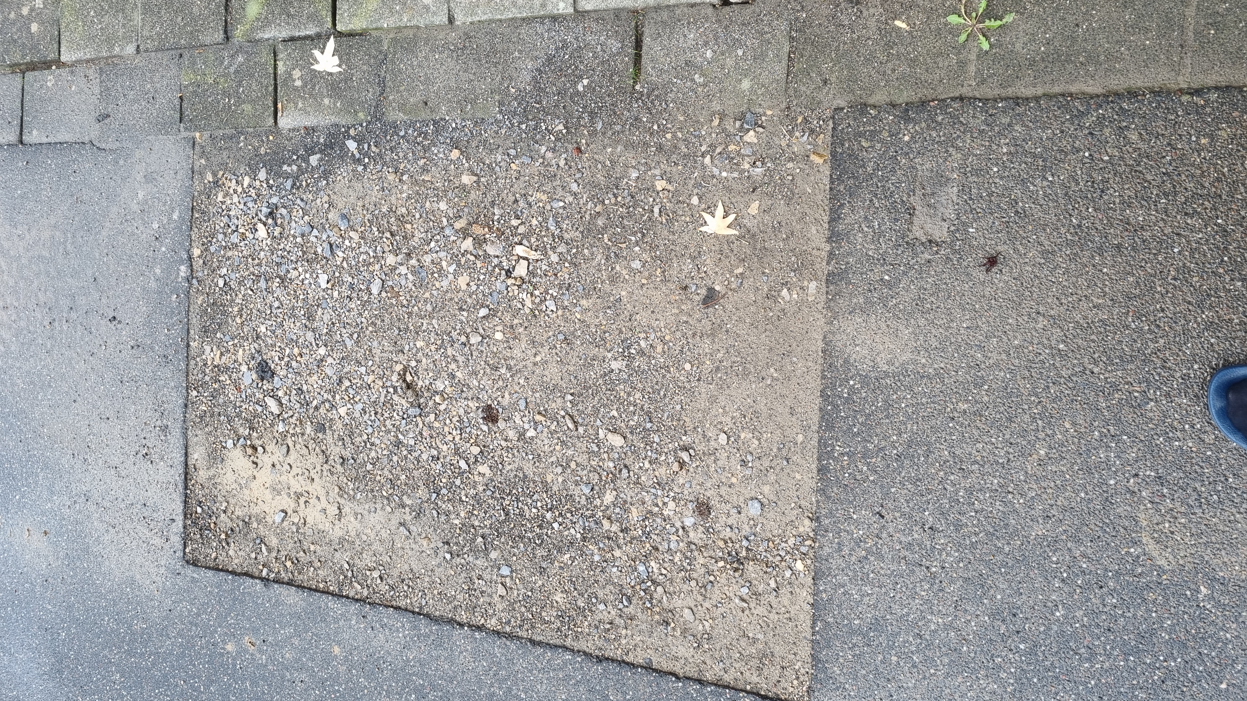 Open311 file from 2022-09-15 15:33:03