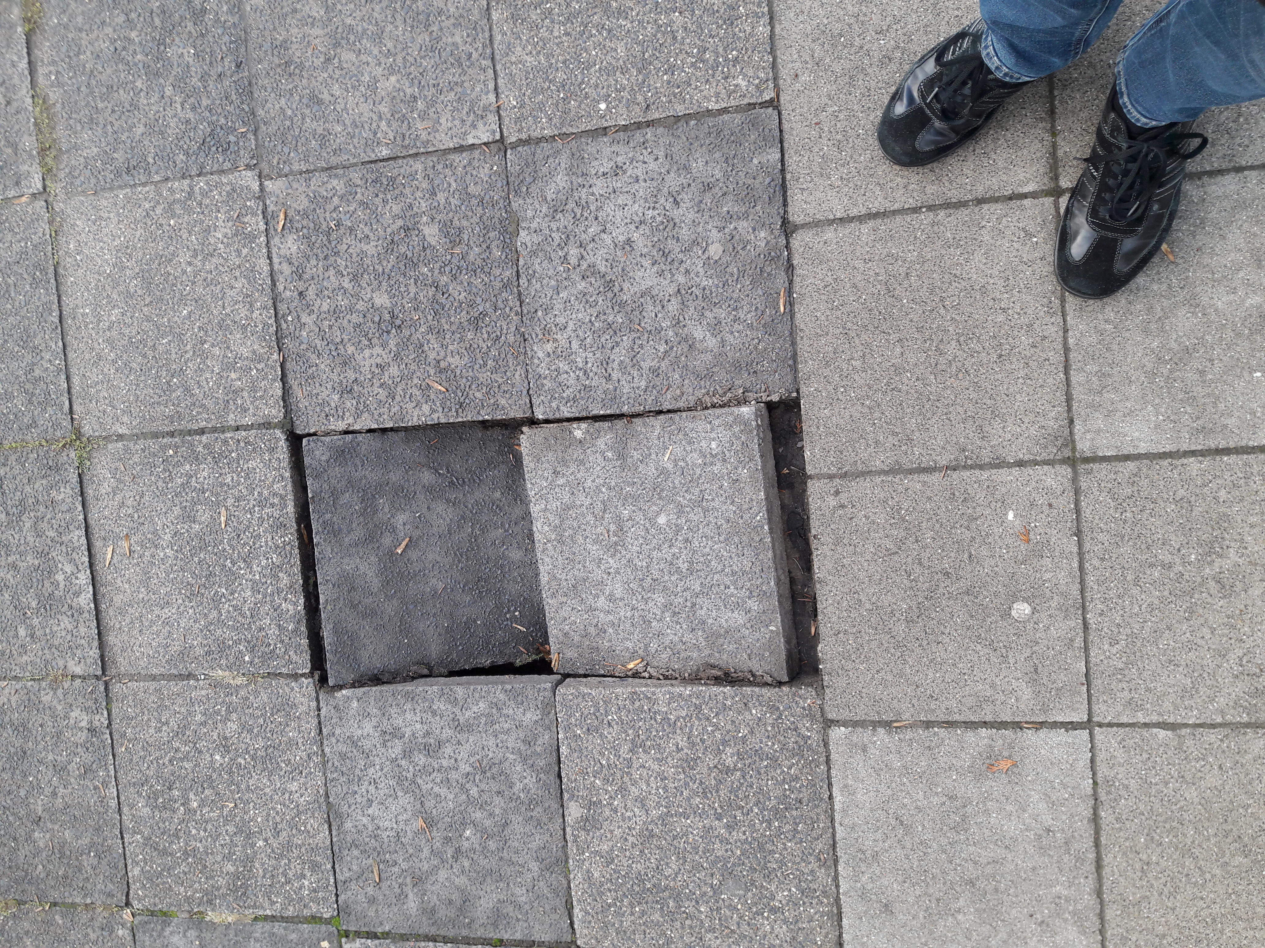 Open311 file from 2022-09-19 19:39:26