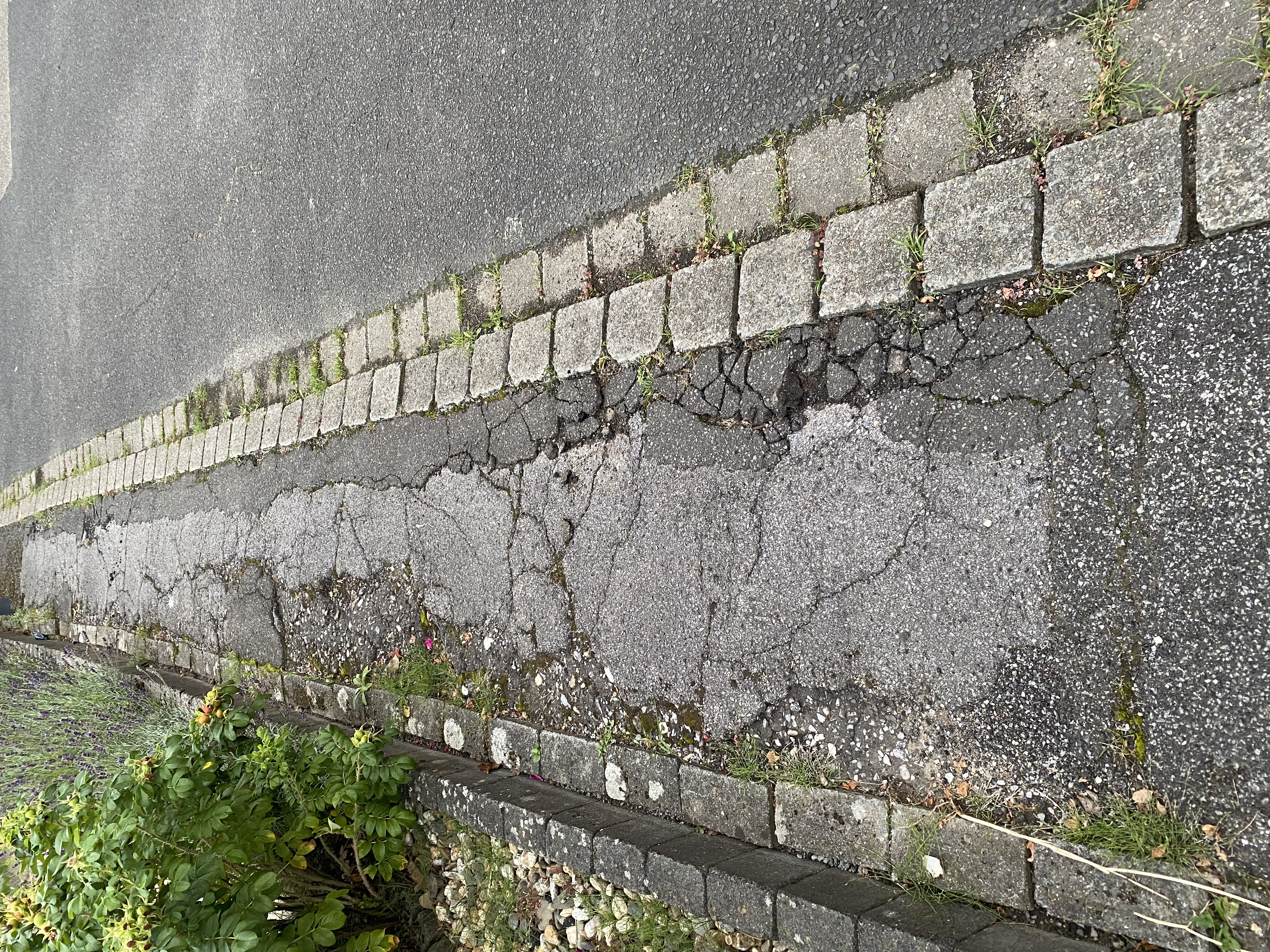 Open311 file from 2022-09-05 07:10:48