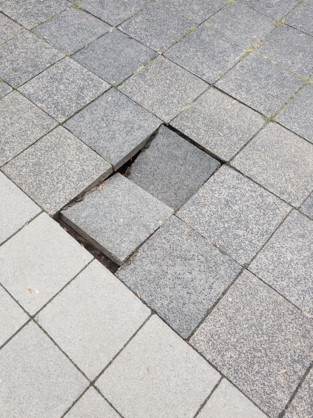 Open311 file from 2022-09-19 19:09:38