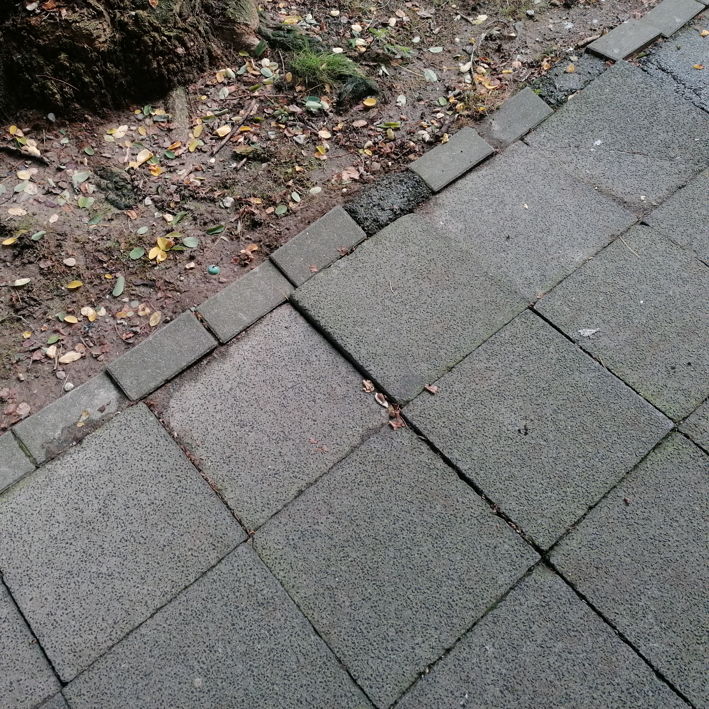 Open311 file from 2022-09-21 09:52:22