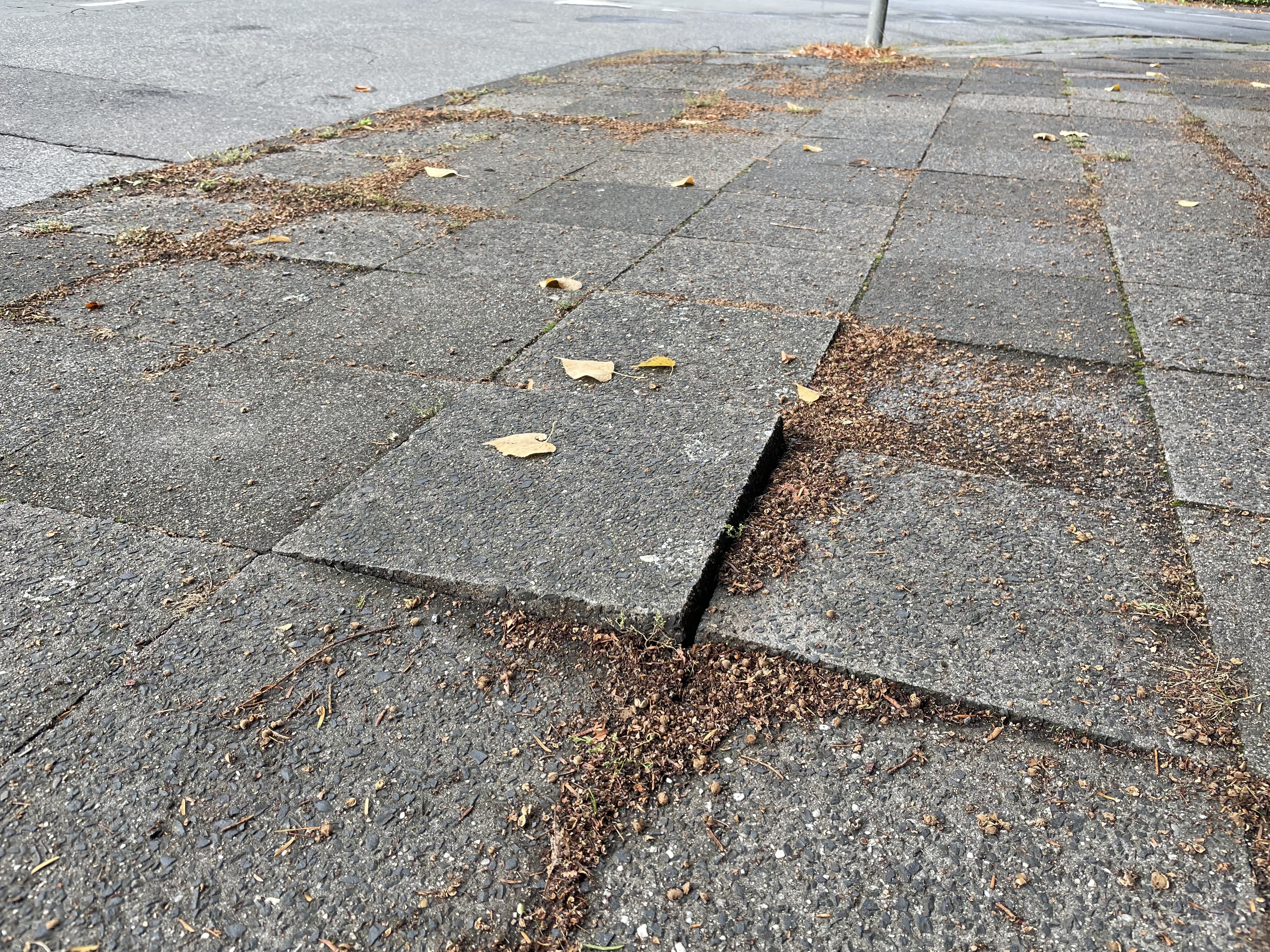 Open311 file from 2022-09-21 09:06:00