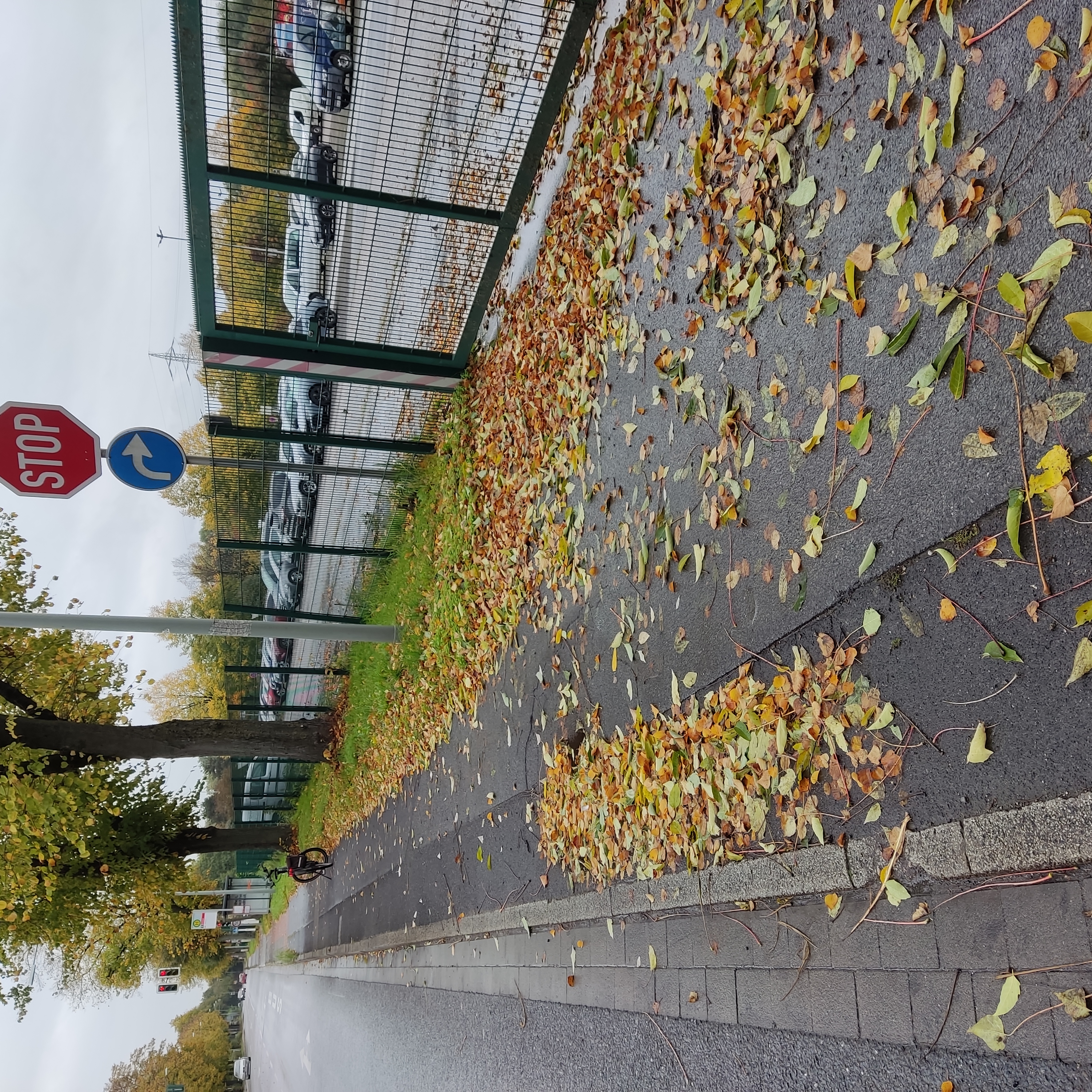 Open311 file from 2022-10-17 10:47:16